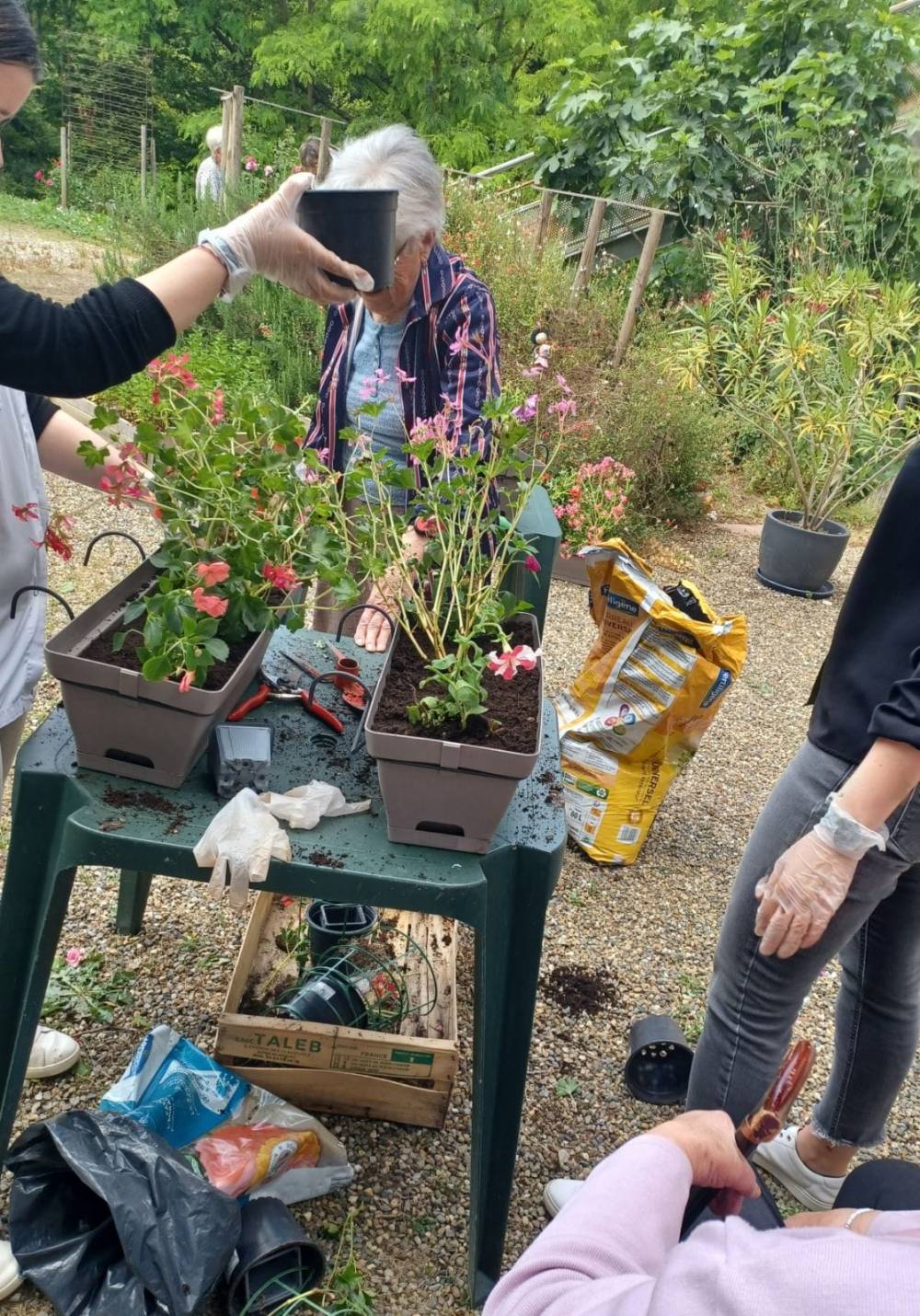 hébergement pour retraité près de Montauban